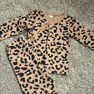Cheetah set
